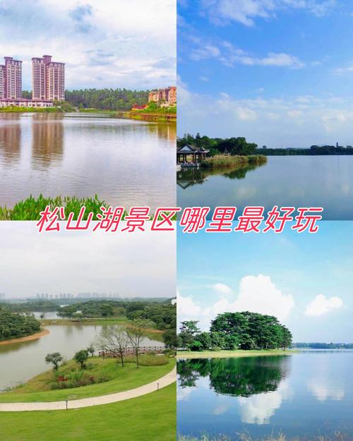 松山湖地图?松山湖地图全图高清版?-第6张图片-柯迪百科 松山湖地图?松山湖地图全图高清版?-第6张图片-柯迪百科