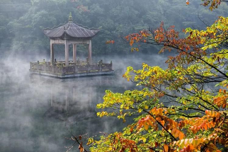宁海森林温泉?宁海森林温泉开放时间?-第5张图片-柯迪百科 宁海森林温泉?宁海森林温泉开放时间?-第5张图片-柯迪百科