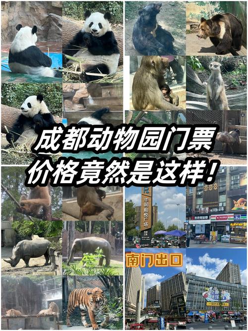 成都动物园门票,成都动物园门票需要预约吗-第2张图片-柯迪百科 成都动物园门票,成都动物园门票需要预约吗-第2张图片-柯迪百科