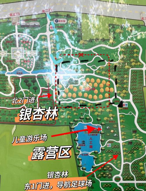东坝郊野公园,东坝郊野公园电话?-第4张图片-柯迪百科 东坝郊野公园,东坝郊野公园电话?-第4张图片-柯迪百科