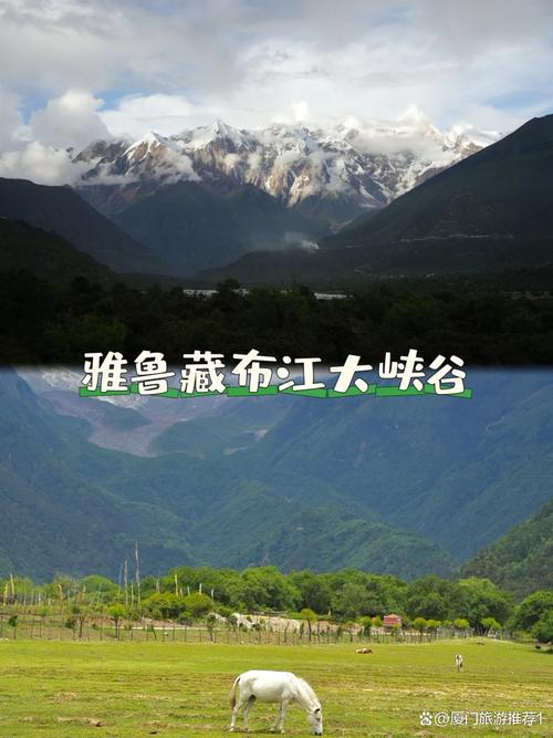 雅鲁藏布大峡谷,雅鲁藏布大峡谷海拔多少米-第5张图片-柯迪百科 雅鲁藏布大峡谷,雅鲁藏布大峡谷海拔多少米-第5张图片-柯迪百科