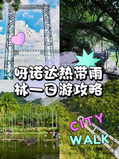 呀诺达雨林,呀诺达雨林简介-第3张图片-柯迪百科 呀诺达雨林,呀诺达雨林简介-第3张图片-柯迪百科