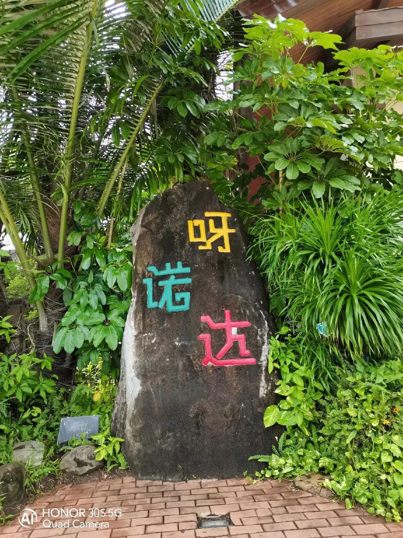 呀诺达雨林,呀诺达雨林简介-第4张图片-柯迪百科 呀诺达雨林,呀诺达雨林简介-第4张图片-柯迪百科