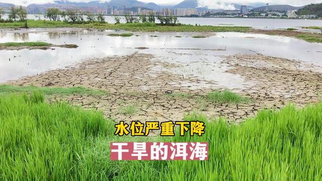 寻甸县今天天气预报,寻甸今日天气预报-第4张图片-柯迪百科 寻甸县今天天气预报,寻甸今日天气预报-第4张图片-柯迪百科