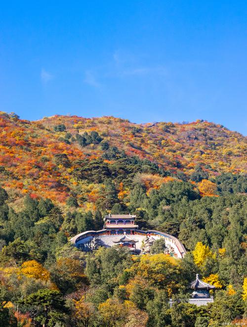 北京香山公园,北京香山公园一日游攻略-第5张图片-柯迪百科 北京香山公园,北京香山公园一日游攻略-第5张图片-柯迪百科