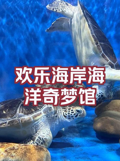深圳海洋世界，深圳海洋世界图片