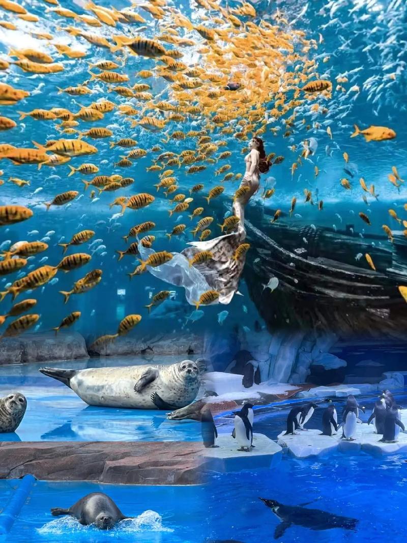 深圳海洋世界,深圳海洋世界图片-第2张图片-柯迪百科 深圳海洋世界,深圳海洋世界图片-第2张图片-柯迪百科