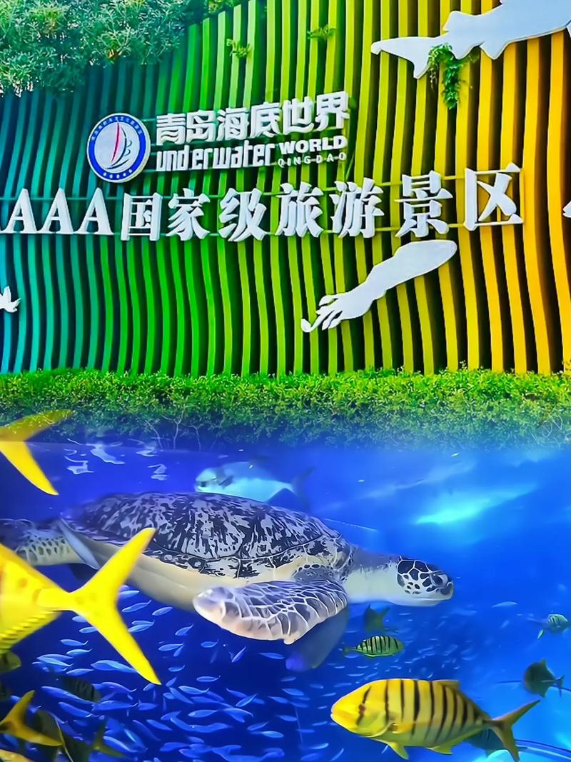 青岛海底世界门票,青岛海底世界门票需要提前预定吗-第6张图片-柯迪百科 青岛海底世界门票,青岛海底世界门票需要提前预定吗-第6张图片-柯迪百科