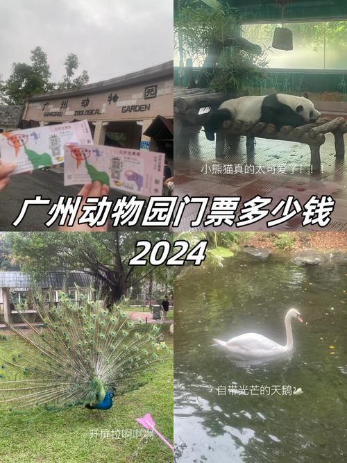 广州动物园门票费用?广州动物园门票费用表?-第7张图片-柯迪百科 广州动物园门票费用?广州动物园门票费用表?-第7张图片-柯迪百科