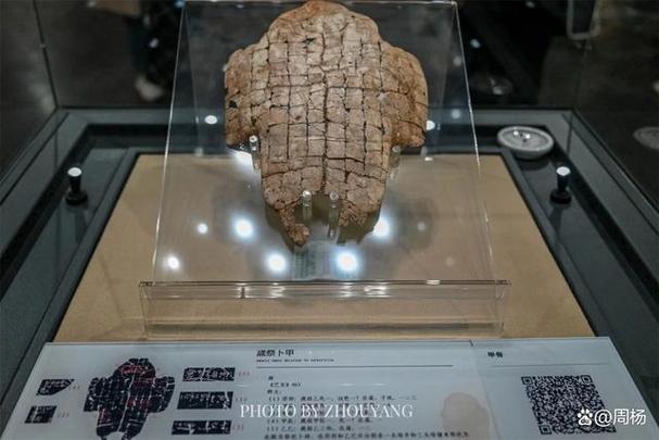 中国文字博物馆,中国文字博物馆官方网站?-第3张图片-柯迪百科 中国文字博物馆,中国文字博物馆官方网站?-第3张图片-柯迪百科