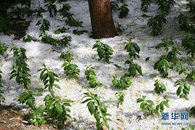 最新天气预报鹤壁,鹤壁的天气预报15天-第3张图片-柯迪百科 最新天气预报鹤壁,鹤壁的天气预报15天-第3张图片-柯迪百科