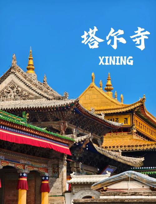 塔尔寺门票?塔尔寺门票老年人有优惠吗?-第7张图片-柯迪百科 塔尔寺门票?塔尔寺门票老年人有优惠吗?-第7张图片-柯迪百科