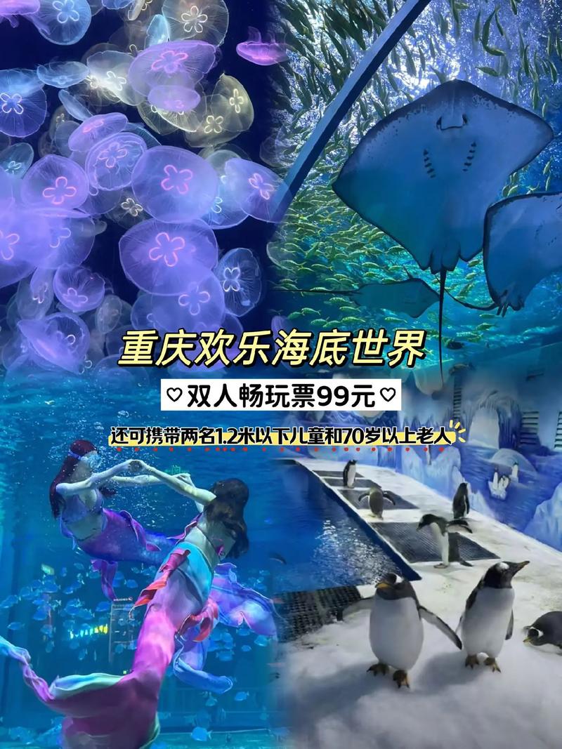 重庆欢乐海底世界，重庆西站到重庆欢乐海底世界？