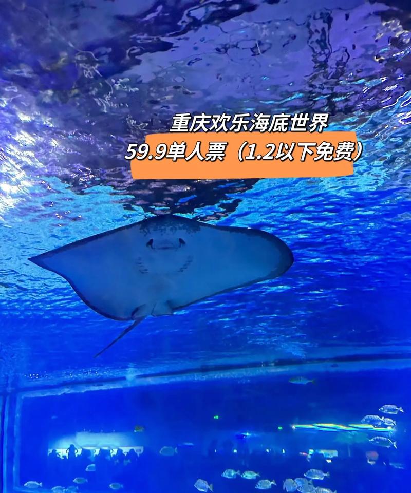 重庆欢乐海底世界,重庆西站到重庆欢乐海底世界?-第5张图片-柯迪百科 重庆欢乐海底世界,重庆西站到重庆欢乐海底世界?-第5张图片-柯迪百科