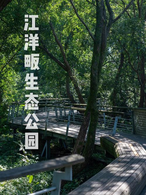 江洋畈生态公园，江洋畈生态公园是如何体现生态的？