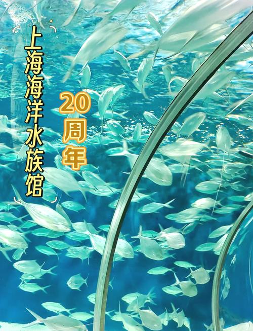 上海水族馆门票,上海水族馆门票优惠政策-第3张图片-柯迪百科 上海水族馆门票,上海水族馆门票优惠政策-第3张图片-柯迪百科