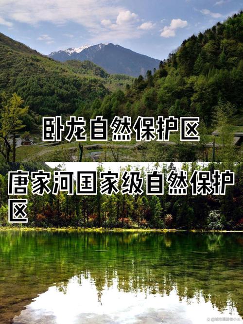 卧龙保护区?卧龙保护区保护什么动物?-第2张图片-柯迪百科 卧龙保护区?卧龙保护区保护什么动物?-第2张图片-柯迪百科
