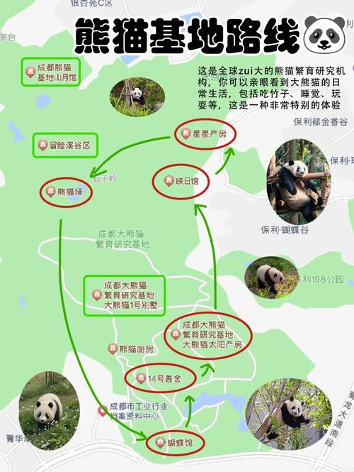成都大熊猫基地门票?成都大熊猫基地门票怎么买?-第1张图片-柯迪百科 成都大熊猫基地门票?成都大熊猫基地门票怎么买?-第1张图片-柯迪百科