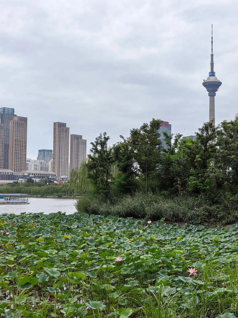 天津水上公园,天津水上公园免费吗?-第3张图片-柯迪百科 天津水上公园,天津水上公园免费吗?-第3张图片-柯迪百科