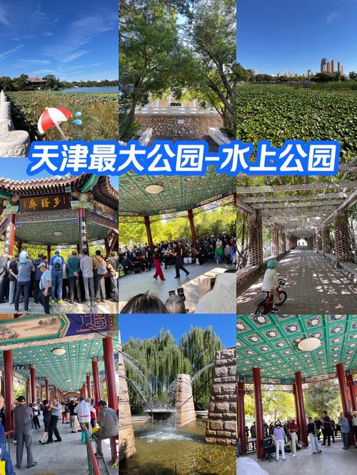 天津水上公园,天津水上公园免费吗?-第6张图片-柯迪百科 天津水上公园,天津水上公园免费吗?-第6张图片-柯迪百科