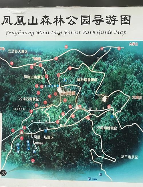 深圳凤凰山森林公园，深圳凤凰山森林公园停车场收费标准？-第1张图片-柯迪百科