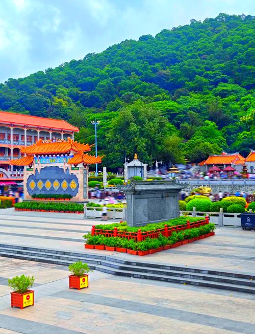 深圳凤凰山森林公园，深圳凤凰山森林公园停车场收费标准？-第2张图片-柯迪百科
