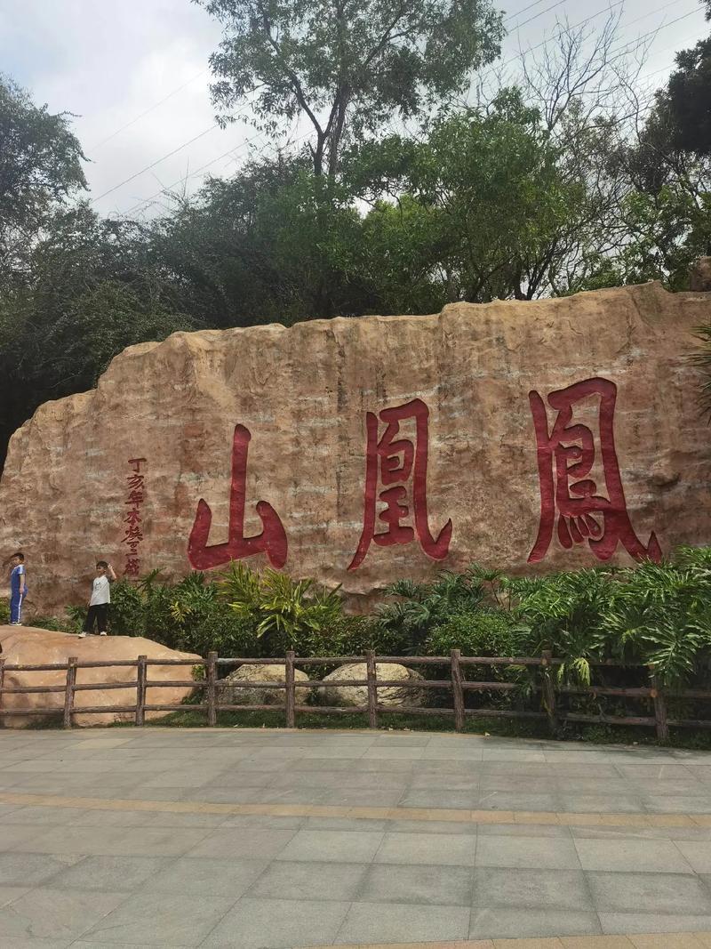 深圳凤凰山森林公园，深圳凤凰山森林公园停车场收费标准？-第4张图片-柯迪百科