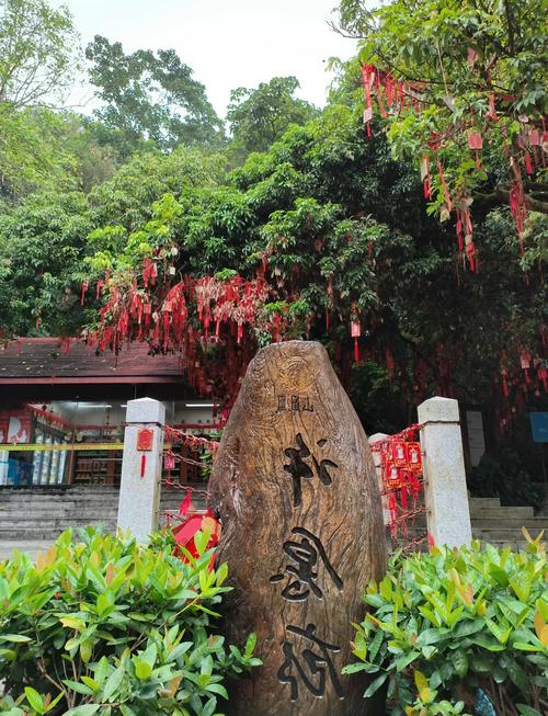 深圳凤凰山森林公园，深圳凤凰山森林公园停车场收费标准？-第7张图片-柯迪百科