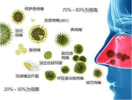 新冠疫情及疫情影响?新冠疫情及其影响?-第6张图片-柯迪百科 新冠疫情及疫情影响?新冠疫情及其影响?-第6张图片-柯迪百科