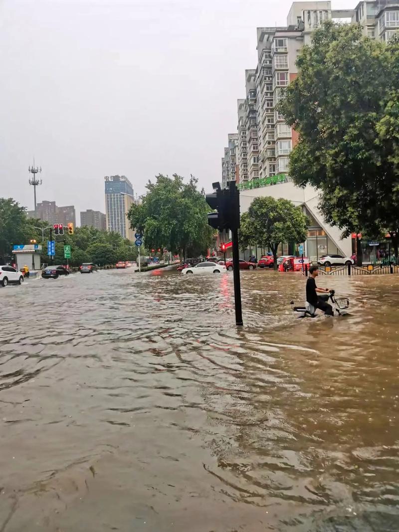 洛阳市洛龙区天气?洛阳市洛龙区天气详情?-第3张图片-柯迪百科 洛阳市洛龙区天气?洛阳市洛龙区天气详情?-第3张图片-柯迪百科