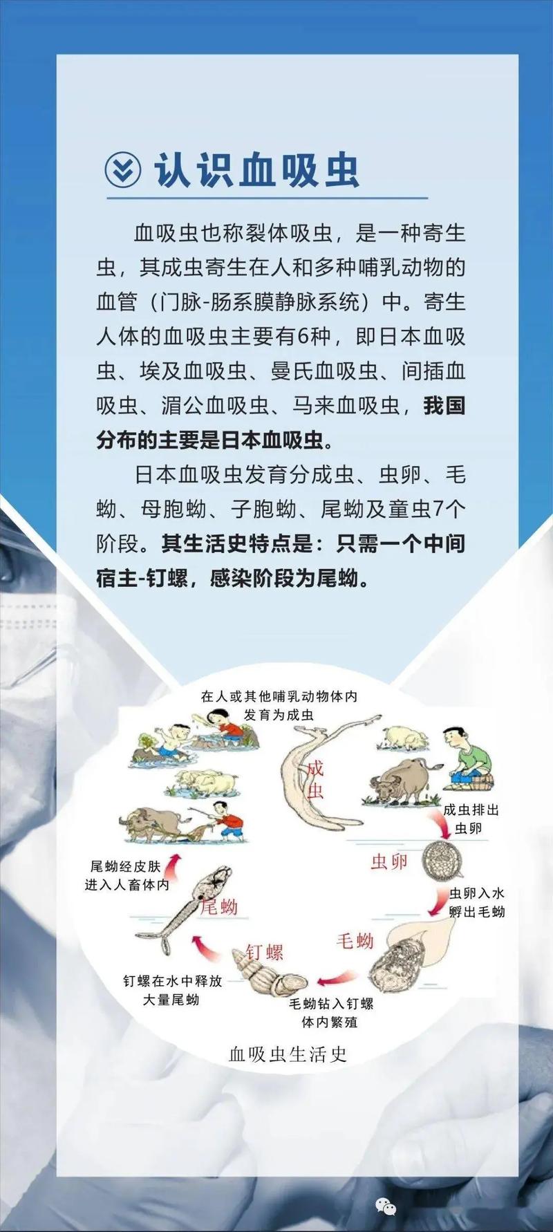 哈尔滨塔河疫情,哈尔滨塔河疫情最新情况?-第3张图片-柯迪百科 哈尔滨塔河疫情,哈尔滨塔河疫情最新情况?-第3张图片-柯迪百科