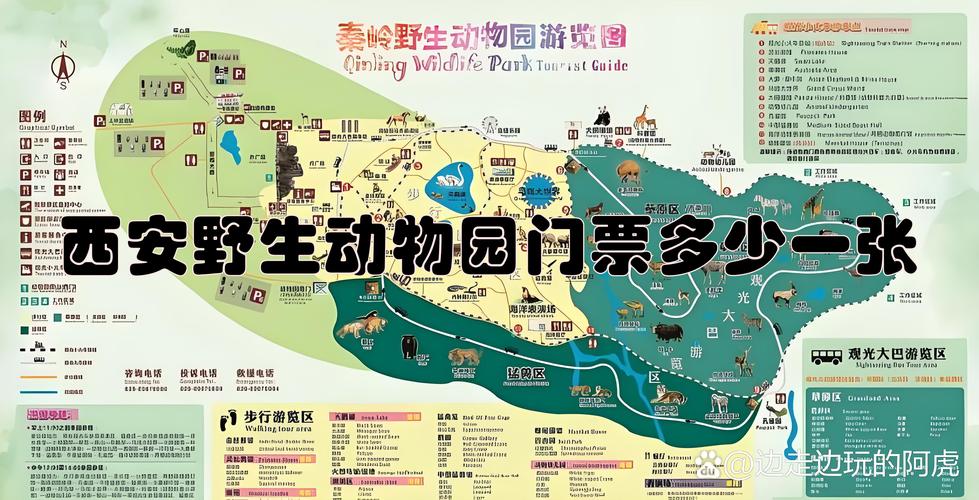 秦岭野生动物园门票,秦岭野生动物园门票65岁以上老人免费吗?-第3张图片-柯迪百科 秦岭野生动物园门票,秦岭野生动物园门票65岁以上老人免费吗?-第3张图片-柯迪百科