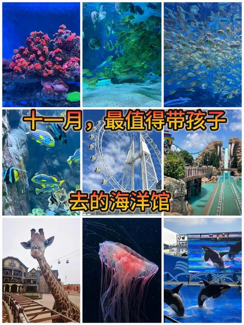 为啥说尽量别带孩子去海洋馆，带孩子去海洋馆发朋友圈的句子？-第4张图片-柯迪百科