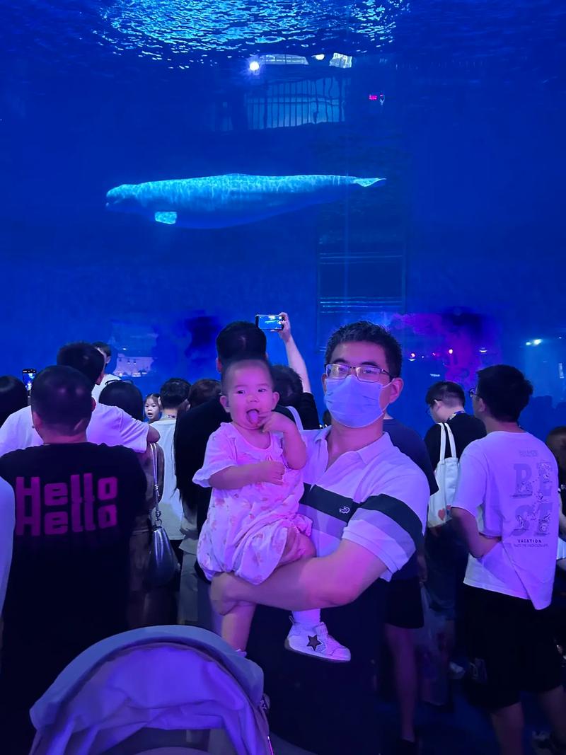 为啥说尽量别带孩子去海洋馆，带孩子去海洋馆发朋友圈的句子？-第6张图片-柯迪百科