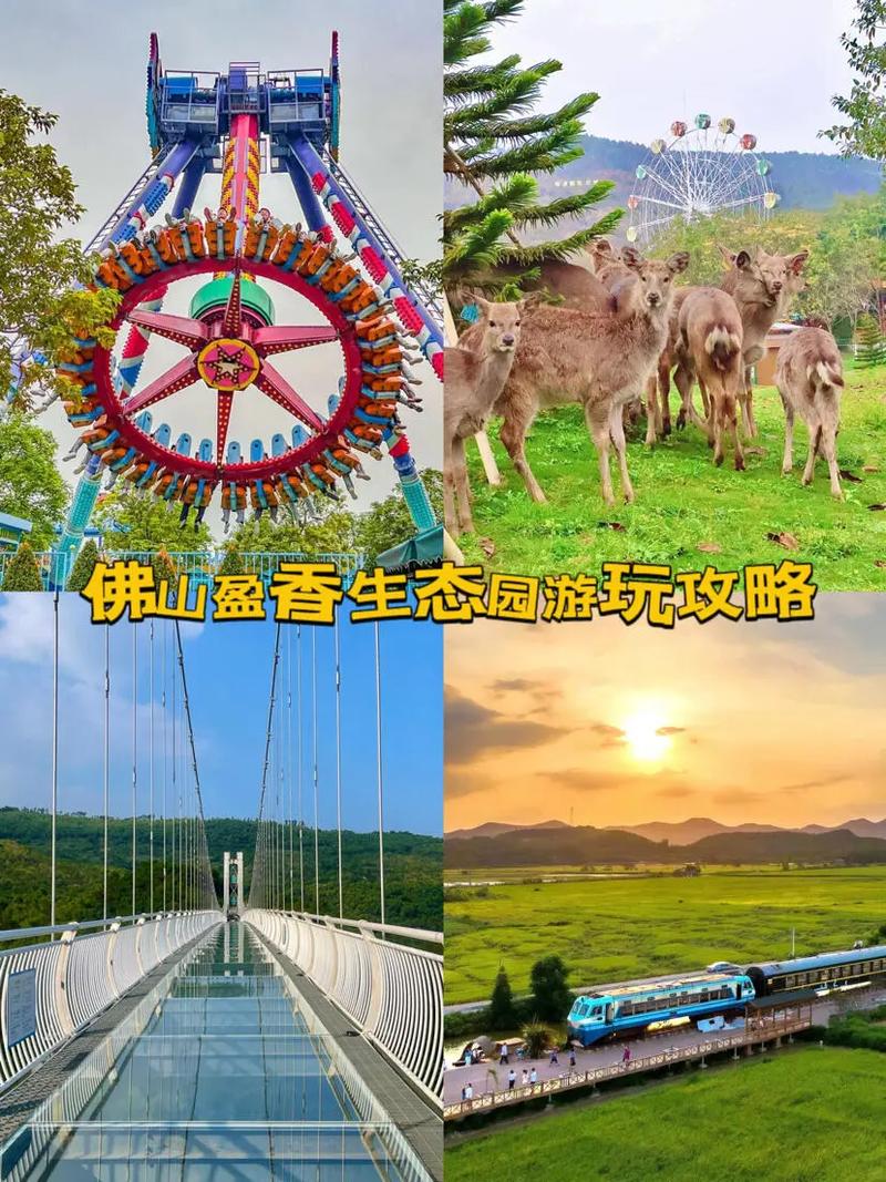 佛山盈香生态园,佛山盈香生态园景点?-第2张图片-柯迪百科 佛山盈香生态园,佛山盈香生态园景点?-第2张图片-柯迪百科