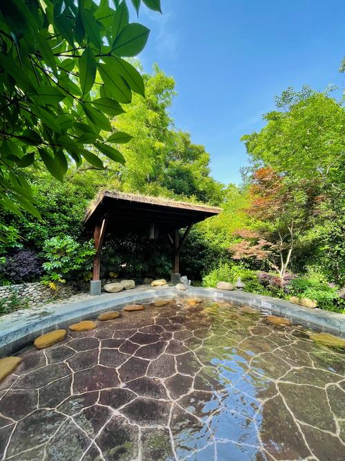 汤山大草原天气预报?汤山街道天气?-第4张图片-柯迪百科 汤山大草原天气预报?汤山街道天气?-第4张图片-柯迪百科