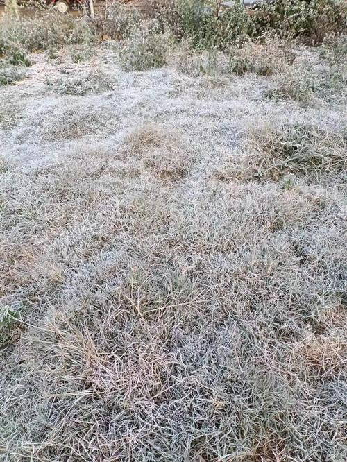 延安地区宜川天气，延安宜川天气预报30天查询