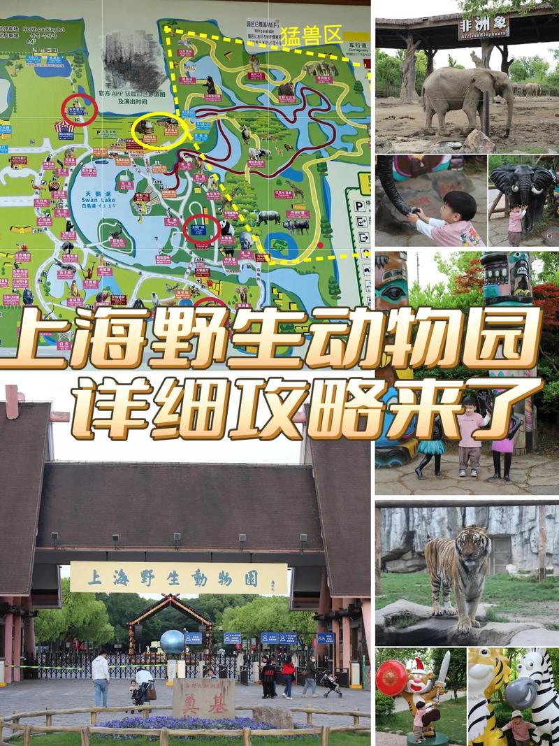 上海动物园门票,上海动物园门票预约-第1张图片-柯迪百科 上海动物园门票,上海动物园门票预约-第1张图片-柯迪百科