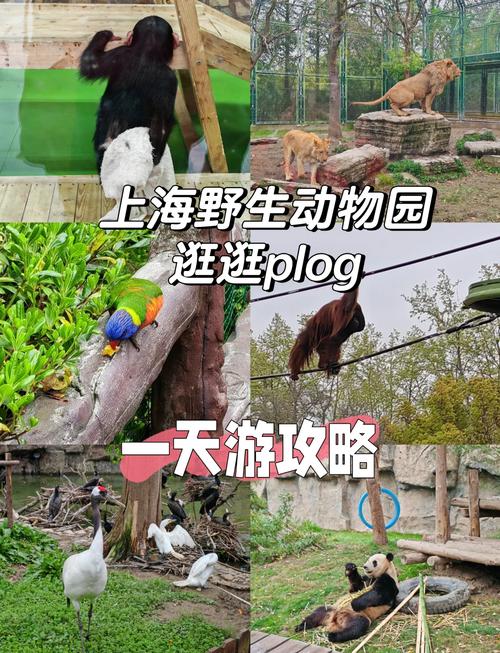上海动物园门票,上海动物园门票预约-第3张图片-柯迪百科 上海动物园门票,上海动物园门票预约-第3张图片-柯迪百科