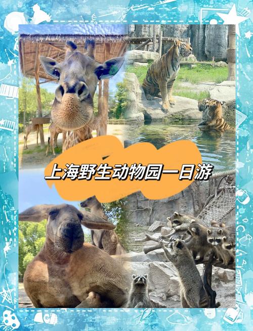 上海动物园门票,上海动物园门票预约-第4张图片-柯迪百科 上海动物园门票,上海动物园门票预约-第4张图片-柯迪百科