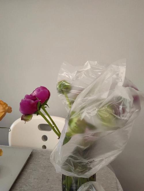 哈尔滨硬核疫情,哈尔滨硬核疫情防控电话-第2张图片-柯迪百科 哈尔滨硬核疫情,哈尔滨硬核疫情防控电话-第2张图片-柯迪百科