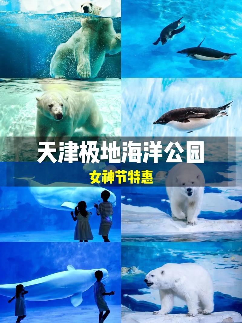 天津海昌极地海洋世界,天津海昌极地海洋世界离哪个火车站近?-第2张图片-柯迪百科 天津海昌极地海洋世界,天津海昌极地海洋世界离哪个火车站近?-第2张图片-柯迪百科