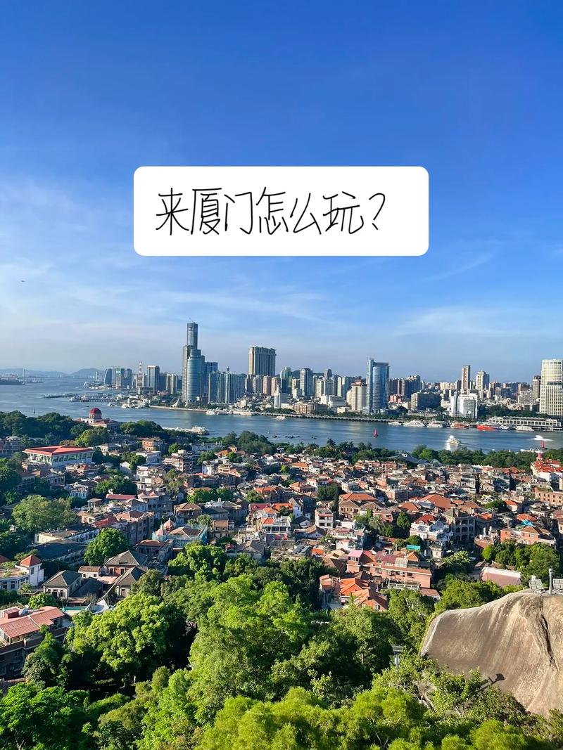 厦门旅游住哪里比较方便?厦门旅游住哪里比较方便??-第2张图片-柯迪百科 厦门旅游住哪里比较方便?厦门旅游住哪里比较方便??-第2张图片-柯迪百科