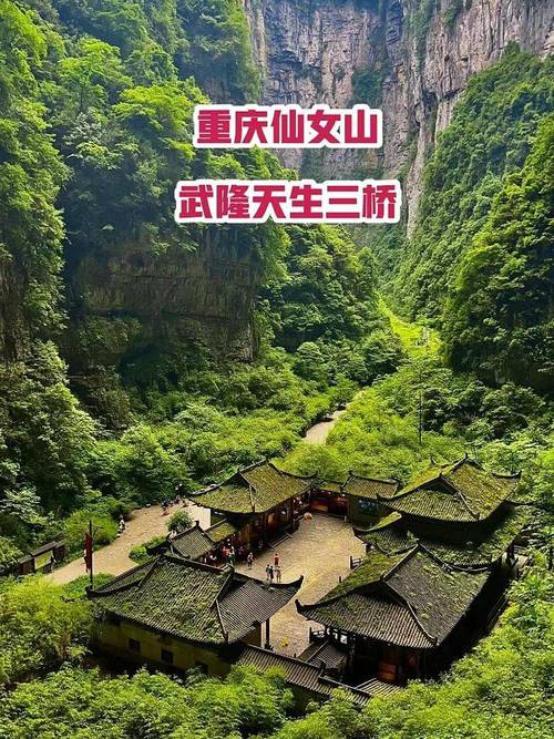 仙女山攻略，仙女山攻略两天一夜游