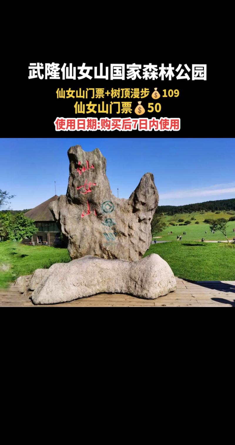 仙女山攻略，仙女山攻略两天一夜游-第2张图片-柯迪百科