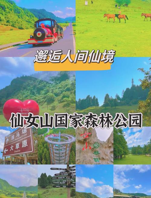 仙女山攻略，仙女山攻略两天一夜游-第5张图片-柯迪百科