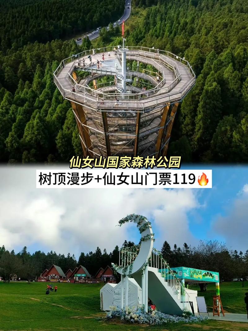 仙女山攻略，仙女山攻略两天一夜游-第7张图片-柯迪百科