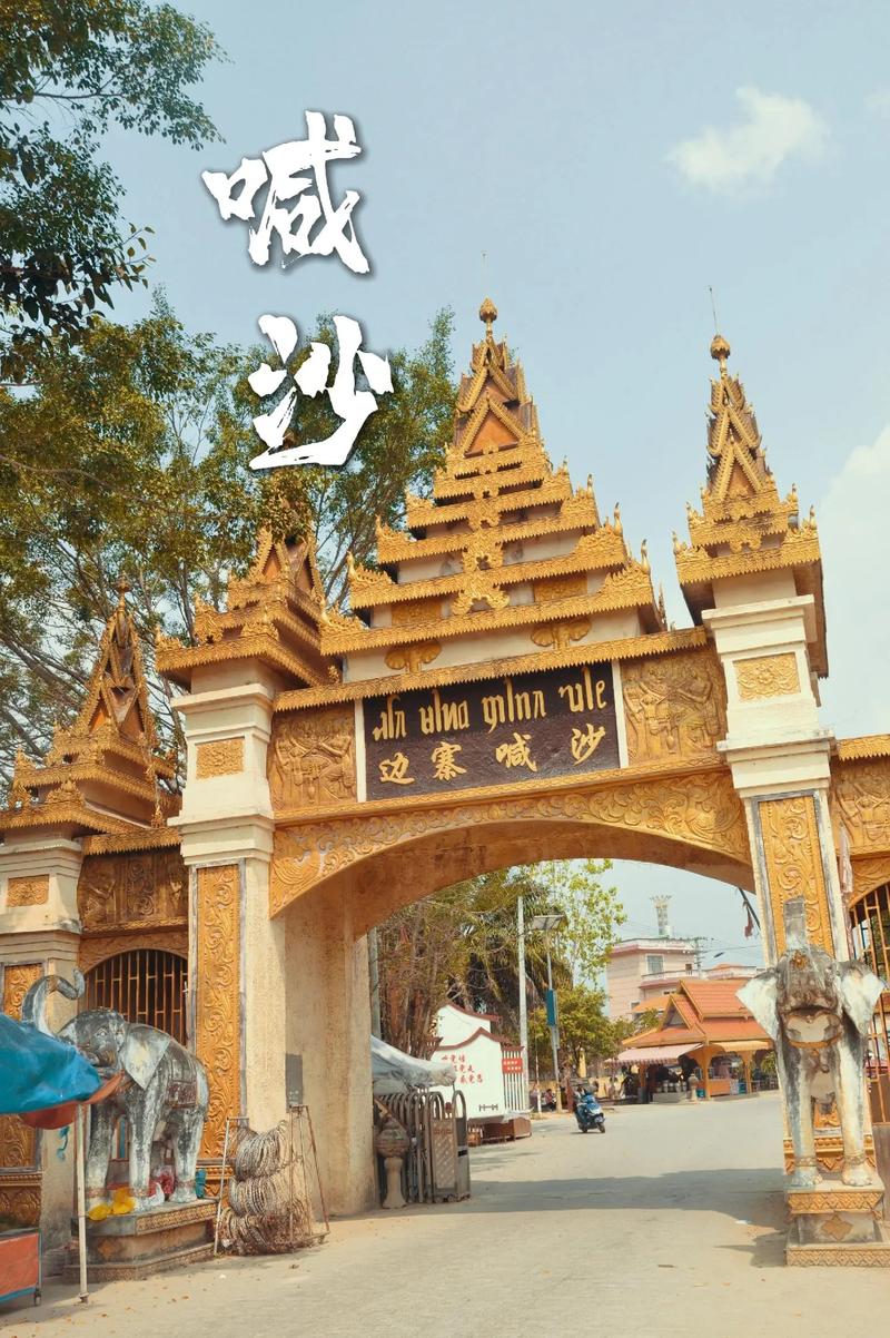 瑞丽疫情最新消息,瑞丽疫情最新报道-第4张图片-柯迪百科 瑞丽疫情最新消息,瑞丽疫情最新报道-第4张图片-柯迪百科