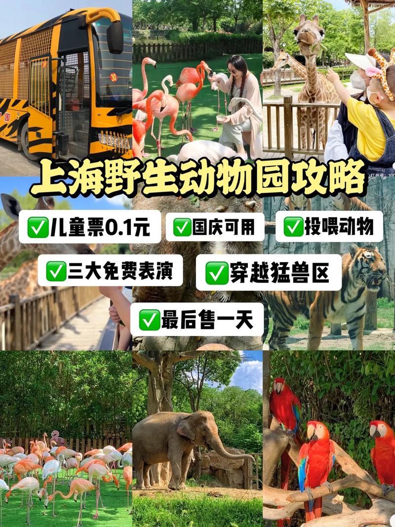 上海野生动物园门票，上海野生动物园门票60岁以上老人有优惠吗?？