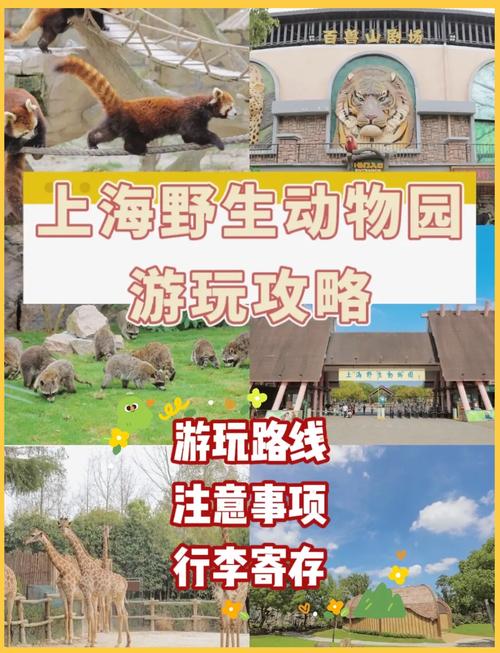 上海野生动物园门票，上海野生动物园门票60岁以上老人有优惠吗?？-第7张图片-柯迪百科